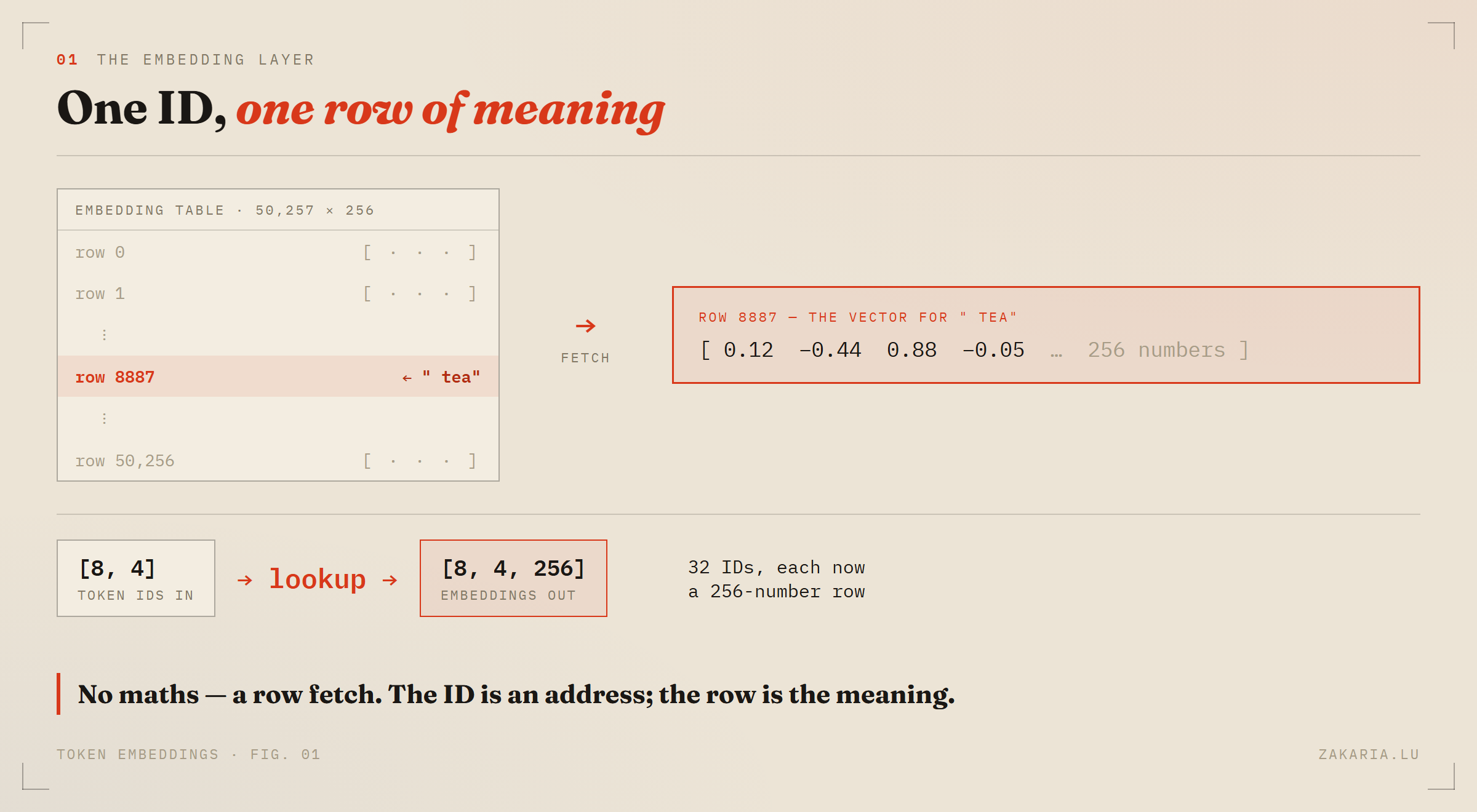 A 50,257-by-256 embedding table; token ID 8887 indexes row 8887 and returns a 256-number vector; feeding a [8,4] batch of IDs returns a [8,4,256] tensor.