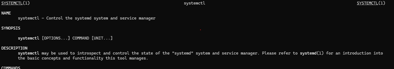 Systemctl isn't the thing that runs your services