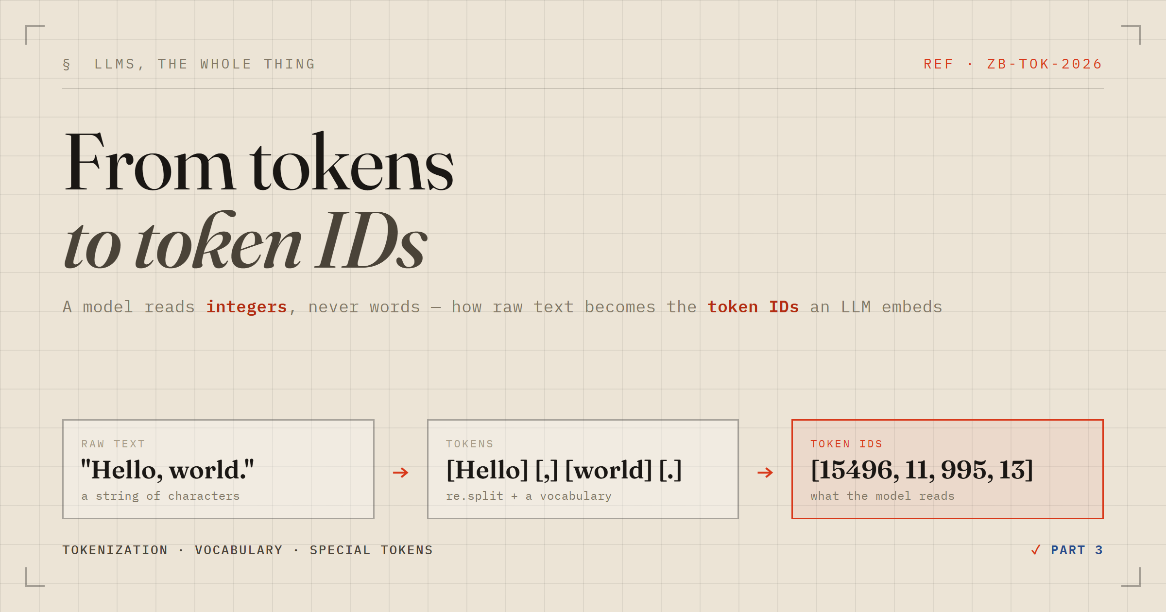 From Tokens to Token IDs